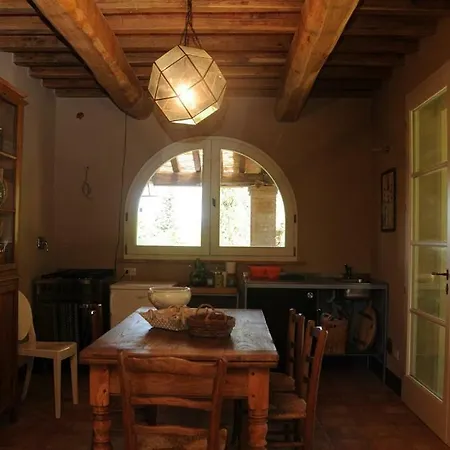 Erbe Montescudaio